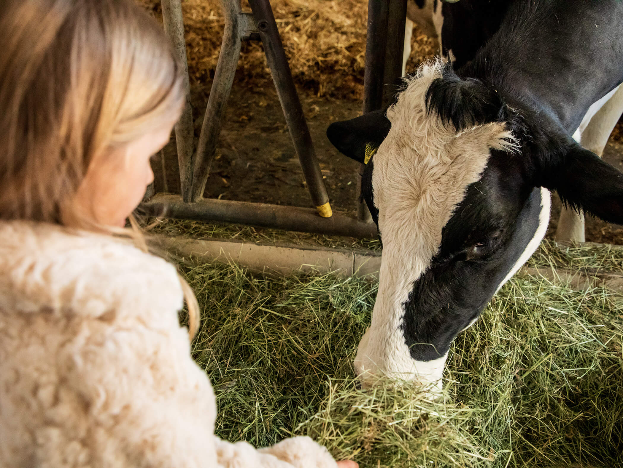 Bauernhof - Kieserhof