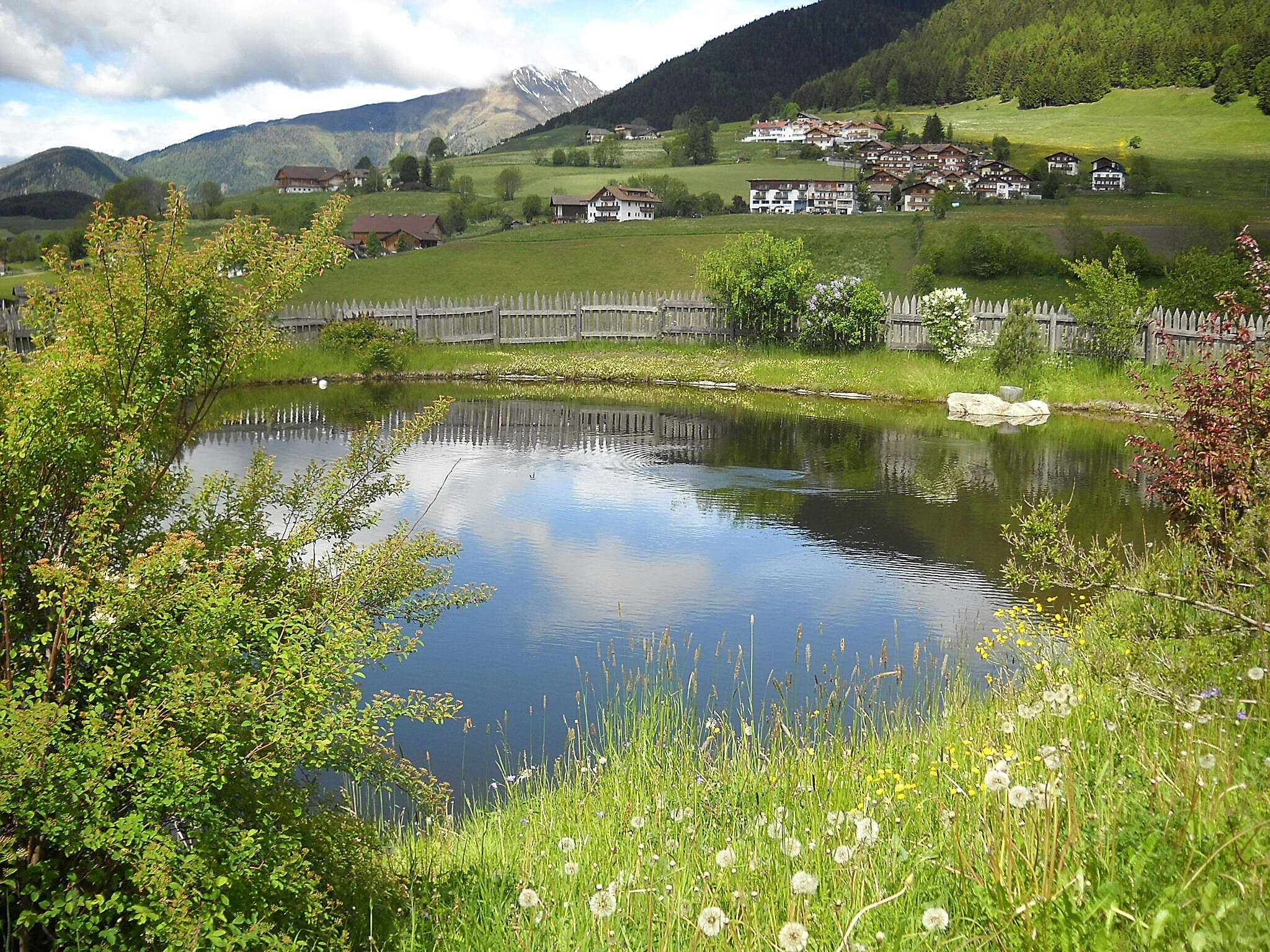 Wellness - Teich - Kieserhof